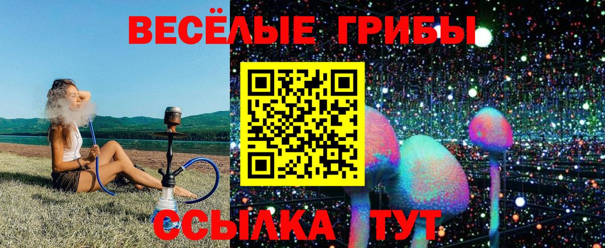 Псилоцибиновые грибы GOLDEN TEACHER Камышин