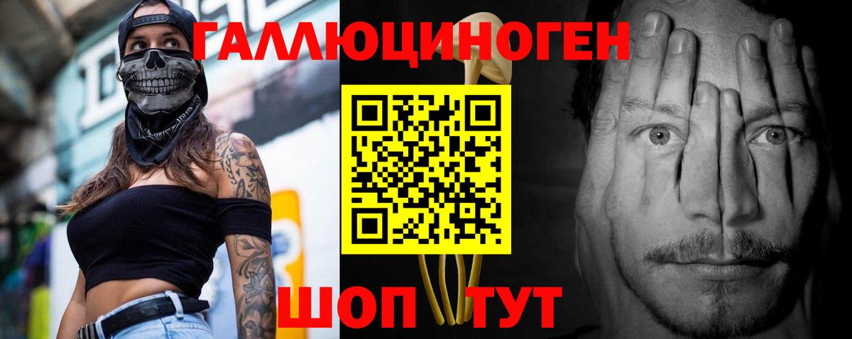 Камышин  Галлюциногенные грибы Cubensis  Вход с VPN  Псилоцибиновые грибы GOLDEN TEACHER 