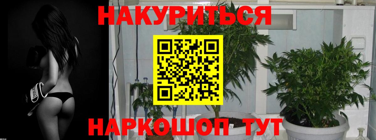 МАРИХУАНА MAZAR  Бошки марихуана VHQ  Марихуана тримм  Вход с VPN  МАРИХУАНА марихуана  Камышин 